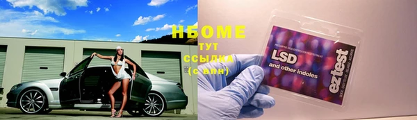 твердый Алексин