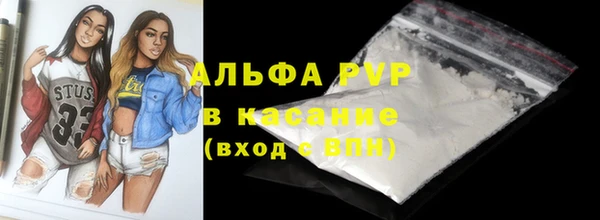 твердый Арсеньев