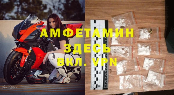 твердый Арсеньев