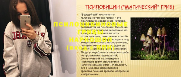 гашик Армянск