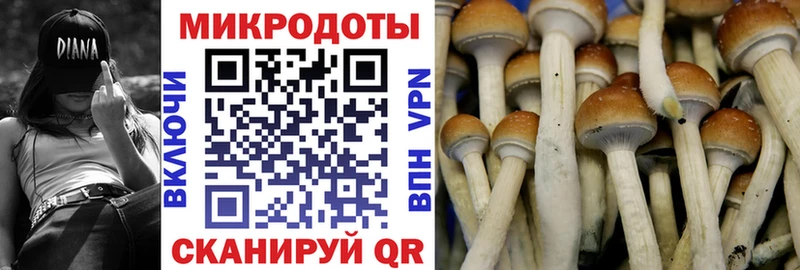 продажа наркотиков  Николаевск  Псилоцибиновые грибы Psilocybe 
